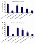 Figure 5. T cells were co-cultured with hAM-MSCs for 72 hr in the presence or absence of PHA. The inhibitory effects of hAM-MSCs on the expression of A) CD38 and B) HLA-DR on the surface of T cells were shown. Each bar was compared with T cell+PHA (control T cells) group. Data were presented as the mean±SD of four independent experiments *p<0.05, ** p≤ 0.01.