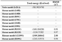 Table 4. RMSD and total energy of modeled structure and its mutant forms