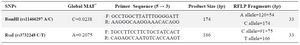 Table 1. Primer sequences and their PCR product sizes, restriction enzymes, and RFLP fragments for the TGFA BamHI and RsaI polymorphisms

* Global Minor Allele Frequency
