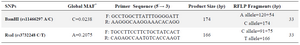 Table 1. Primer sequences and their PCR product sizes, restriction enzymes, and RFLP fragments for the TGFA BamHI and RsaI polymorphisms

* Global Minor Allele Frequency
