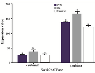 Figure 3. Effect of Ang II supplementation in culture medium during IVM and IVC (Day 4) on expression of α<sub>1</sub> and β<sub>1</sub> Na<sup>+</sup>/K<sup>+</sup>/ATPase subunits in embryos. The values are expressed as mean±SEM. For each Na<sup>+</sup>/K<sup>+</sup>/ATPase subunit, bars with different letters indicate significant differences between experimental groups (IVM, D4, and control; p&lt;0.05).