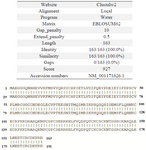 Figure 3. Sequence analysis of VEGF<sub>165</sub>. The BLAST result search for the highest homology found in GeneBank database.