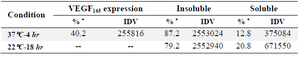 Table 1. Expression rate measured by AlphaEase FC Software. VEGF<sub>165</sub> expressed 40.2% of the total protein (4 <i>hr</i> at 37<i>°C</i>). Insoluble: 87.2% of the total protein (4 <i>hr</i> at 37<i>°C</i>) and 79.2% (18 <i>hr</i> at 22<i>°C</i>). Soluble: 12.8% of the total protein (4 <i>hr</i> at 37<i>°C</i>) and 20.8% (18 <i>hr</i> at 22<i>°C</i>)
<br /><br />
IDV=Integrated Density Value
<br />
* Based on integrated density value