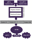 Figure 1. Flowchart describing the pipeline for piRNA identification.