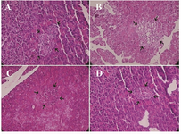 <p>Figure 7. Representative histopathological profiles on &beta;-cells (arrows show one islet) in the A) control B) diabetic, C) diabetic rats treated with pioglitazone and D) diabetic rats treated with stevia (H&amp;E &times;400).</p>