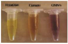<p>Figure 1. Visual appearance of color change in vials containing the <em>Zataria multiflora</em> leaves extract, AuHCl<sub>4 </sub>solution and GNPs at room temperature after 4 <em>hr</em> of mixing with AuHcl<sub>4</sub>.</p>