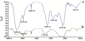 <p>Figure 6. FTIR absorption spectra of dried <em>Zataria multiflora</em> leaf extract before bio reduction; A) and after complete bio reduction; B) at room temperature. These spectra were similar and plant extract covered GNPs.</p>