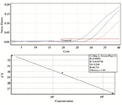 <p>Figure 3. Standard curve, produced by the amplification of ACTB 1:10 dilutions (1.1-0.011 <em>pg/&micro;l</em> equal to 30.9&times;10<sup>4</sup>-30.9&times;10<sup>2 </sup><em>copies/&micro;l</em>) of plasmid DNA for 40 cycles. The amplification efficiency and R<sup>2</sup> were 100% and 0.99, respectively (Threshold fluorescence: 0.01).</p>