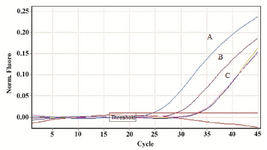 <p>Figure 5. A fragment of ACTB gene was amplified from human genomic DNA (cfDNA). No significant change was observed in the pattern of Ct levels of extracted DNA from treated samples, while the decrease in Ct levels of untreated samples is clear. A) Ct value of ACTB DNA extracted from untreated sample after 6 days of incubation. B) Ct value of ACTB DNA extracted from untreated sample after 3 days of incubation. C) Ct values of ACTB DNA extracted from treated samples on days 0, 3 and 6 (Threshold fluorescence: 0.01).</p>