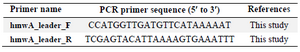 <p>Table 1. Polymerase Chain Reaction (PCR) primers used in this study</p>