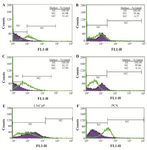 <p>Figure 2. Enrichment of selected DNA pools during SELEX monitored by flow cytometry. Assessment of the binding DNA pools to A) SELEX10, LNCaP; B) SELEX10, PC-3 cell lines. C) SELEX 9 LNCaP, D) SELEX 9 PC-3, E) comparison of SELEX4 and 7 LNCaP and F) comparison of SELEX4 and 7 PC-3.</p>
