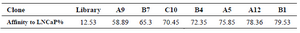 <p>Table 1. Binding affinity of 8 random positive clones analyzed by flow cytometry</p>