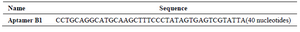 <p>Table 2. Sequencing result of aptamer B only 40 variable nucleotides are given here. The two flanking known sequences are omitted</p>
