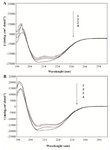 <p>Figure 4. Circular dichroism spectra of HSA; A) and GHSA; B) in the absence of additive 1) and presence of &beta;-CyD (2) Tre (3) and Alg (4) in 50 <em>mM</em> Tris buffer, pH=7.4 at 25<em>&deg;</em><em>C</em>.</p>
