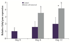 <p>Figure 3. Relative gene expression of <em>Gdnf</em> in the control and germ cell-removed groups (n=3) on days 0, 6 and 12. Different letters (a and b) indicate significant difference within groups between different timepoints (p&lt;0.05). Asterisk (*) indicates significant difference between two experimental groups at the specified timepoint (p&lt;0.05).</p>
