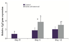 <p>Figure 4. Relative gene expression of <em>Fgf2</em> in the control and germ cell-removed groups (n=3) on days 0, 6 and 12. Different letters (a and b) indicate significant difference within groups between different timepoints (p&lt;0.05). Asterisk (*) indicates significant difference between two experimental groups at the specified timepoint (p&lt;0.05).</p>
