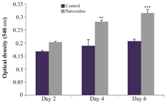 <p>Figure 2. Determination of the mean of Optical Density (OD) for treatment with 1 <em>&mu;M</em> Paroxetine in assessing the proliferation rate at 2, 4 and 6 days after induction. Compared with control group, exposure to 1 <em>&mu;M</em> Paroxetine resulted in a significant increase of cell proliferation after 4 and 6 days (**p&le;0.01,***p&le;0.001).</p>
