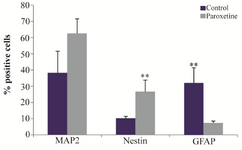 <p>Figure 4. The mean percentage of immunoreaction of positive cells for Nestin, MAP2 and GFAP in treatment with 1 <em>&mu;M</em> Paroxetine com-pared with control group. The mean percentage of MAP2-positive cells increased in the Paroxetine treated group as compared to control group, while the mean percentage of Nestin-positive cells significantly increased in the Paroxetine treated group as compared to control group (**p&le;0.01), but the mean percentage of GFAP positive cells in the treated group significantly decreased relative to control group (**p&le;0.01).</p>
