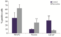 <p>Figure 4. The mean percentage of immunoreaction of positive cells for Nestin, MAP2 and GFAP in treatment with 1 <em>&mu;M</em> Paroxetine com-pared with control group. The mean percentage of MAP2-positive cells increased in the Paroxetine treated group as compared to control group, while the mean percentage of Nestin-positive cells significantly increased in the Paroxetine treated group as compared to control group (**p&le;0.01), but the mean percentage of GFAP positive cells in the treated group significantly decreased relative to control group (**p&le;0.01).</p>
