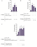 <p>Figure 3. rhSFRP-4 modulates P<sub>4</sub> biosynthesis. Granulosa cells from immature rats were cultured, hormonally stimulated, and treated sequentially with FSH for 48 <em>hr</em> (first 48 <em>hr</em>) and LH for another 48 <em>hr</em> (second 48 <em>hr</em>). A. rhSFRP-4 (0.5 or 50 <em>ng/ml</em>) was added alone, B. cells were simultaneously treated with FSH or LH in the presence of rhSFRP-4 (0.5 or 50 <em>ng/ml</em>), and C. cells were pre-treated with rhSFRP-4 3 <em>hr</em> before FSH treatment and then further stimulated with LH. P<sub>4</sub> levels were measured using ELISA and data were expressed as <em>ng/mg</em> protein. Bars are the mean&plusmn;SEM of three independent experiments assayed in triplicate. Superscript letters indicate statistically significant differences between treatment groups: a compared to untreated cells; b compared to FSH-primed cells (***p&lt;0.001; *p&lt;0.05).</p>
