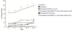 <p>Figure 4. Pre-treating granulosa cells (GCs) with exogenous sFRP4 prior to LH treatment abolished LH-induced P<sub>4</sub> production. rhSFRP-4 (0.5 <em>ng/ml</em>) was added to GCs prior to treatment with gonadotropins or simultaneously with FSH. Conditioned media were harvested after 3, 6, 12, 24, and 48 <em>hr</em>, and P<sub>4</sub> levels were measured using ELISA. Data are expressed as <em>ng/mg</em> protein. Data are the mean&plusmn;SD from three independent experiments assayed in triplicate (***p&lt;0.001, compared with other conditions).</p>
