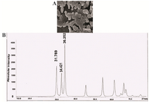 <p>Figure 1. A) SEM image of ZnO nanoparticles (acceleration voltage of 15 <em>kv</em>, CLEMEX&reg; 391 particle image analysis software package 4.7.). B) XRD pattern of ZnO nanoparticles synthesized 392 by sol-gel method (D4-BRUKER and Cu-k&alpha; radiation at 30 <em>kv</em> and 20 <em>A</em>.</p>
