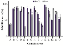 <p>Figure 3. Inhibitory rate (%) of different combinations (according to Table 1) against PAO1 and 406 resistance isolated <em>P. aeruginosa </em>(Res1) after 18 <em>hr</em> exposure.</p>

