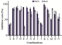 <p>Figure 3. Inhibitory rate (%) of different combinations (according to Table 1) against PAO1 and 406 resistance isolated <em>P. aeruginosa </em>(Res1) after 18 <em>hr</em> exposure.</p>
