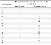 <p>Table 1. Different combinations of ceftazidime and ZnO nanoparticles</p>