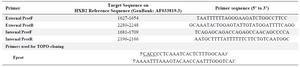 <p>Table 1. Nucleotide sequence of the primers used for amplification of region containing protease gene</p>