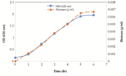 <p>Figure 1. Growth curve (&nbsp;&nbsp; ) and biomass curve (&nbsp;&nbsp; ) of <em>E. coli</em> cells growing in the culture medium in the fermenter.</p>
