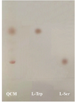 <p>Figure 4. Investigation of L-Serine content of Qazvin cane molasses. TLC patterns of L-Ser in the Qazvin cane molasses (QCM), L-Trp standard sample (L-Trp) and L-Ser standard sample (L-Ser).</p>
