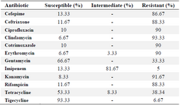 <p><strong>Table 2. Antimicrobial susceptibility pattern</strong></p>