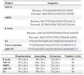 <p>Table 1. Primer sequences and real time qPCR conditions</p>
