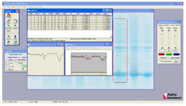 <p>Figure 4. calculation of expression yield of Teriparatide fusion gene with AlphaEase FC software.</p>
