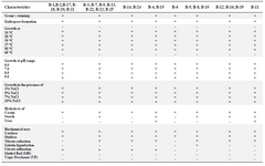 <p>Table 2. Biochemical and physiological characteristics of <em>Bacillus</em> strains</p>
