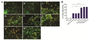 <p>Figure 11. &alpha;-alumina-CPA/CPB potently induce autophagy in peritoneal macrophages. After treatment with &alpha;-AL<sub>2</sub>O<sub>3 (</sub>D, E), &alpha;-AL<sub>2</sub>O<sub>3</sub>-CPA (F), &alpha;-AL<sub>2</sub>O<sub>3</sub>-CPB (G), soluble CPA, CPB (K, L), for 48 h, peritoneal macrophages were stained with AO as described in the Material and Methods and detected by fluorescence microscopy. Non-treated macrophage (A), 10 <em>mM</em> 3-MA treated macrophage (B) and Rapamycin treated macrophage served as negative and positive controls (C).</p>