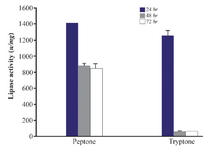 <p>Figure 5. Effect of high cost nitrogen sources on the activity of lipases at different incubation times (24, 48 <em>hr</em> and 72 <em>hr</em>) by <em>Bacillus sp. ZR-5</em>. Peptone showed higher lipase activity than tryptone after 24 <em>hr</em> (p&lt;0.05).</p>