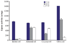 <p>Figure 6. Effect of different substrates on the activity of lipases at different incubation times (24, 48 and 72 <em>hr</em>) by <em>Bacillus sp. ZR-5</em>. The highest activity was found by olive oil (2%) with an activity after 24 <em>hr</em> (p&lt;0.05).</p>