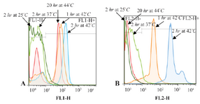 <p>Figure 1. Flow cytometric histograms to compare the effect of different hybridization times and temperatures on fluorescence intensity. A. Flow cytometric histograms of 18S rRNA probe. B. Flow cytometric histograms of PML-RARa FRET probe.</p>