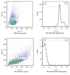 <p>Figure 3. Flow cytometric histograms of NB4 cells (A) and HL-60 cells (B). Hybridization with PML-RARa probe at 42<em>&deg;C</em> for 2 <em>hr.</em></p>
