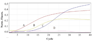 <p>Figure 5. Real time PCR in order to confirm the presence of PML-RARa mRNA (L-isoform). A) Neat PML-RARa mRNA extracted from NB4 cells. B, C) PML-RARa mRNA in &frac12; and 1/10 dilutions. D. mRNA extracted from HL-60.</p>
