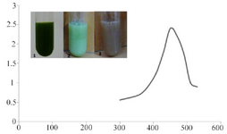 <p>Figure 1. UV-absorption spectra of <em>C. vulgaris</em> suspension incubated with AgNO<sub>3</sub>. The absorption peak at 450 <em>nm</em> indicates formation of silver nanoparticles. Intersect: gradual color change in <em>C. vulgaris</em> suspension indicating bioreduction of silver ions in to nanoparticles.</p>