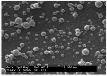 <p>Figure 3. SEM image of chitosan nanoparticles</p>
