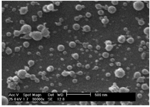 <p>Figure 3. SEM image of chitosan nanoparticles</p>
