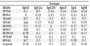Table 2. Determination of the isotype of MAbs by ELISA
The results represent OD values obtained at 492 nm. Control‾ : Culture supernatant from SP2/0 myeloma cells
