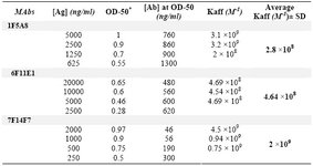 Table 4. Affinity constants of human IgG subclass-restricted MAbs determined by ELISA
*OD-50 represents the half maximum optical density obtained for a given concentration of h-IgG ([Ag]) and the corresponding MAb ([Ab]). The affinity constant (Kaff) for each selected concentration of Ag and Ab was determined using the formula described in the Materials and Methods
