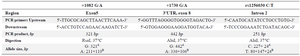 <p>Table1. Characteristics of studied SNPs on ESR2 gene </p>
<p>
A) RFLP product for normal allele;<br />
B) RFLP product for mutant allele
</p>