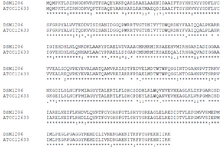 <p>Figure 5. Alignment of <em>P. putida</em> <em>ATCC12633</em> creatinase with<em> P. putida</em> <em>DSM1206</em> creatinase.</p>
