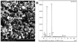 <p>Figure 4. A) SEM morphology of the SPIONs-C595 and B) EDAX spectrum of SPIONs-C595 in black line.</p>
